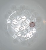 Floricele Cehia 9mm cu 8 petale alb transparent inghetat (00030/84110) (1buc)