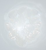 Margele/briolete sticla Cehia frunze mari 16x12mm alb translucid/opalite (01000) (1buc)