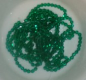 Margele sticla bicon fatetate 4mm turcoaz verde marin transparent - 100buc
