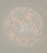 Margele sticla Cehia rotunde 4mm opalite (01000) - 50buc